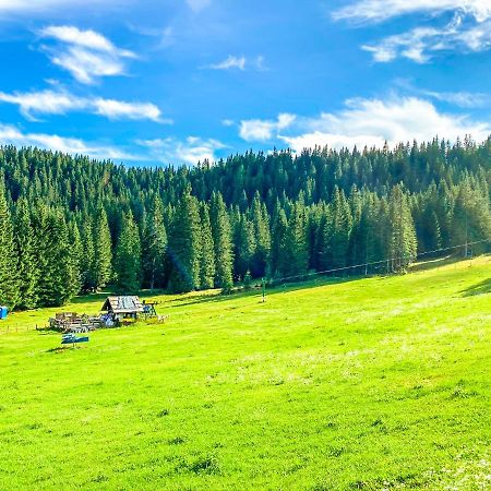 ゴレンスカ地方 Chalet Iviヴィラ エクステリア 写真