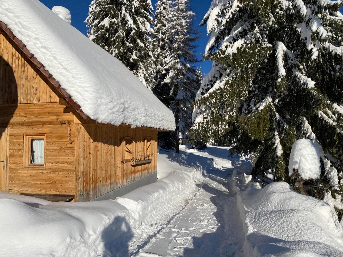 ゴレンスカ地方 Chalet Iviヴィラ エクステリア 写真