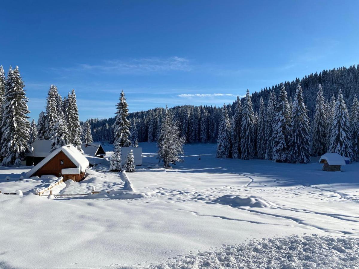 ゴレンスカ地方 Chalet Iviヴィラ エクステリア 写真