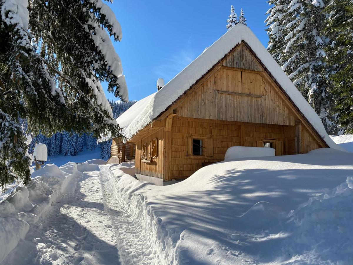 ゴレンスカ地方 Chalet Iviヴィラ エクステリア 写真