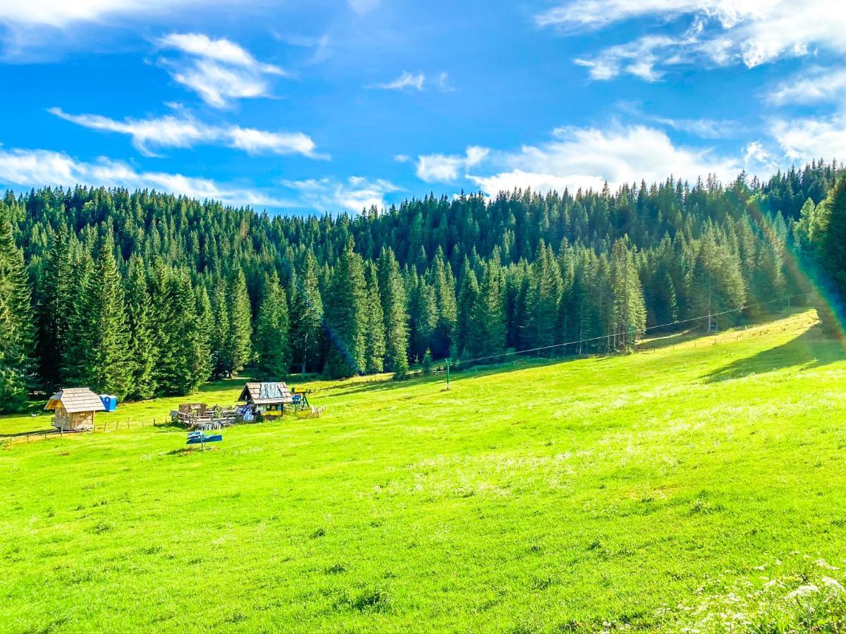 ゴレンスカ地方 Chalet Iviヴィラ エクステリア 写真